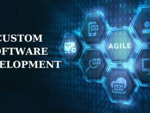 customised software development