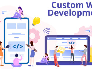customised website development